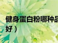 健身蛋白粉哪种品牌好（健身蛋白粉哪个牌子好）