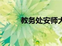 教务处安师大（安师大教务系统）