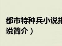 都市特种兵小说排行（都市特种兵系列都市小说简介）