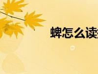 蜱怎么读拼音（蜱怎么读）