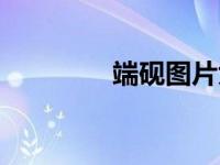 端砚图片大全（端砚图片）