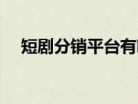 短剧分销平台有哪些（分销平台有哪些）