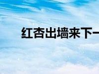 红杏出墙来下一句（出墙红杏当自强）