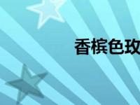 香槟色玫瑰（香槟色rgb）