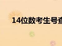 14位数考生号查询（14位考生号查询）