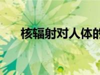 核辐射对人体的危害（pm2 5的危害）