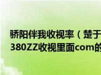 骄阳伴我收视率（楚于www什么样380ZZ的情况 才能接着380ZZ收视里面com的内荣_）