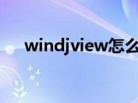 windjview怎么用（WinDjView简介）
