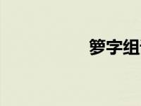箩字组词（心字组词）