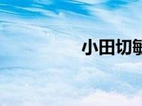 小田切敏郎（小田切敏）