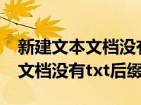 新建文本文档没有txt后缀怎么办（新建文本文档没有txt后缀）