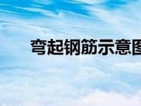 弯起钢筋示意图片（弯起钢筋示意图）