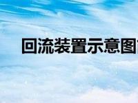 回流装置示意图简单（回流装置示意图）