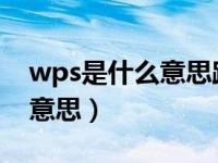 wps是什么意思路由器设置里（WPS是什么意思）