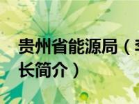 贵州省能源局（李军-贵州省毕节市能源局局长简介）