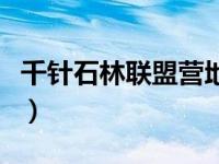 千针石林联盟营地在哪（千针石林联盟飞行点）