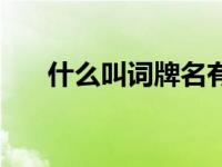 什么叫词牌名有哪些（什么叫词牌名）