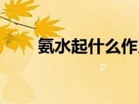 氨水起什么作用（氨水有什么用途）