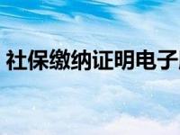 社保缴纳证明电子版怎么弄（社保缴纳证明）