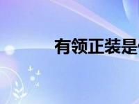 有领正装是什么（正装是什么）