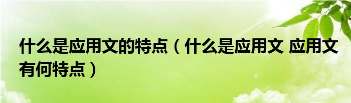 什么是应用文的特点（什么是应用文 应用文有何特点）