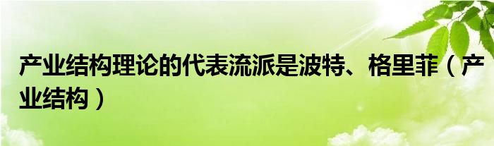 产业结构理论的代表流派是波特、格里菲（产业结构）