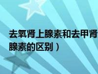去氧肾上腺素和去甲肾上腺素的区别（肾上腺素和去甲肾上腺素的区别）