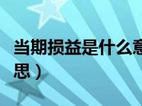 当期损益是什么意思例子（当期损益是什么意思）