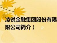 凌锐金融集团股份有限公司简介电话（凌锐金融集团股份有限公司简介）