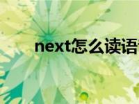 next怎么读语音音标（next怎么读）