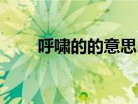 呼啸的的意思（呼啸的意思是什么）
