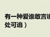 有一种爱谁敢言说书籍（有一种爱谁敢言说无处可逃）