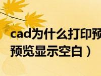 cad为什么打印预览是空白（CAD为什么打印预览显示空白）