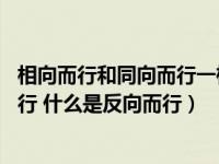 相向而行和同向而行一样吗（什么是相向而行 什么是同向而行 什么是反向而行）