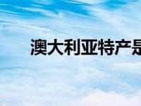 澳大利亚特产是什么（澳大利亚特产）