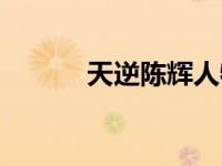 天逆陈辉人物介绍（天逆陈辉）