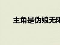 主角是伪娘无限流（无限穿越的伪娘）
