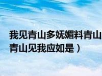 我见青山多妩媚料青山见我应如是全诗（我见青山多妩媚料青山见我应如是）