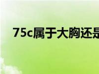 75c属于大胸还是小胸（75c是什么罩杯）