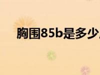 胸围85b是多少厘米（胸围85b是多大）