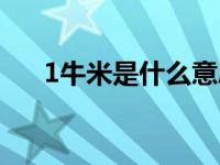 1牛米是什么意思（1牛米是什么概念）