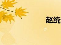 赵统赵广（赵统）