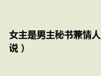 女主是男主秘书兼情人的现代言情小说（很肉的现代言情小说）