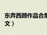 东奔西顾作品合集（东奔西顾的全部小说系列文）