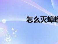 怎么灭蟑螂卵（怎么灭蟑螂）