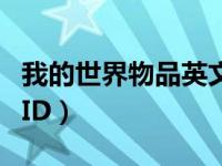 我的世界物品英文id大全（我的世界物品英文ID）