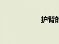 护臂的作用（护臂）