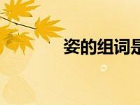 姿的组词是什么（姿的组词）
