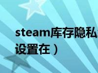 steam库存隐私怎么设置公开（steam隐私设置在）