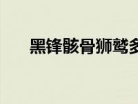 黑锋骸骨狮鹫多少钱（黑锋骸骨狮鹫）